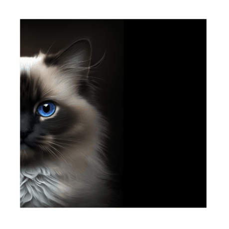 Birman v2