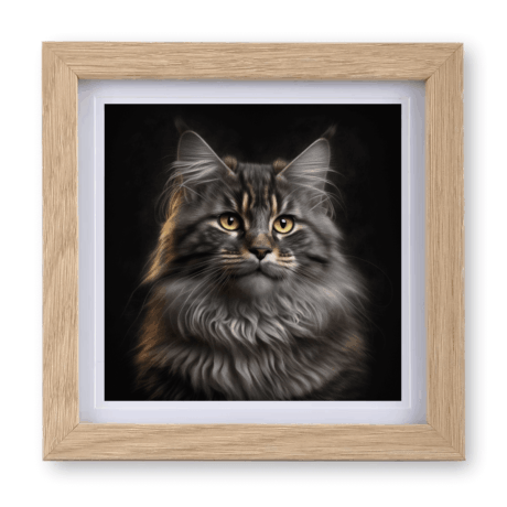 Maine Coon v1