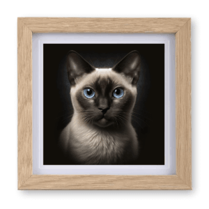 Siamese