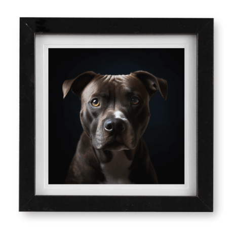 Pitbull v3