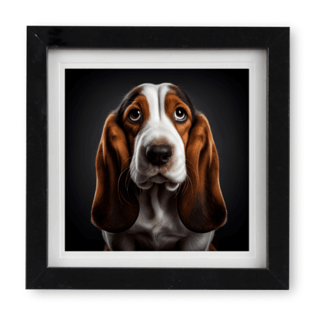 Basset Hound v1