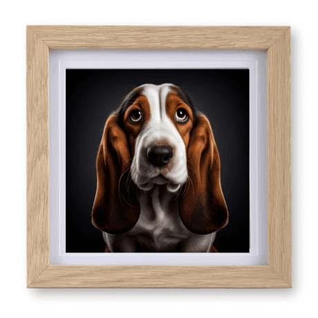Basset Hound v1