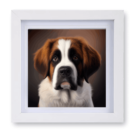 St Bernard v1