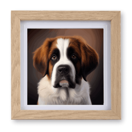 St Bernard v1