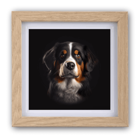 Bernese Mountain v1