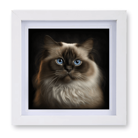 Birman v1