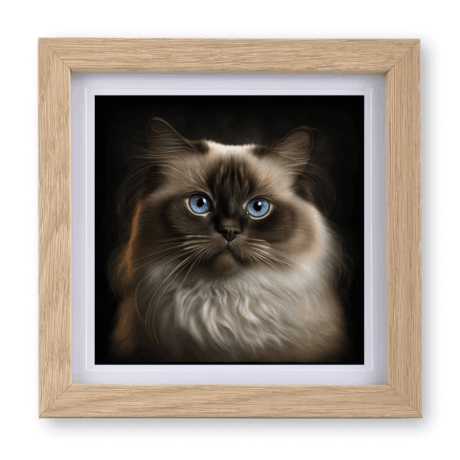 Birman v1