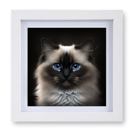 Birman v2