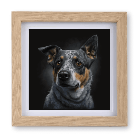 Blue Heeler v1