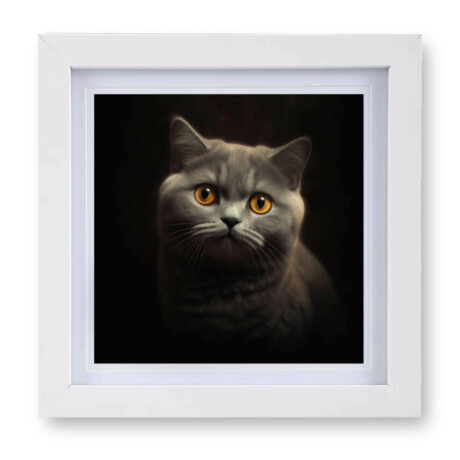 British Shorthair v1