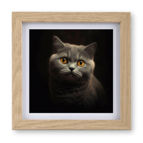 British Shorthair v1