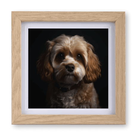 Cavapoo v1