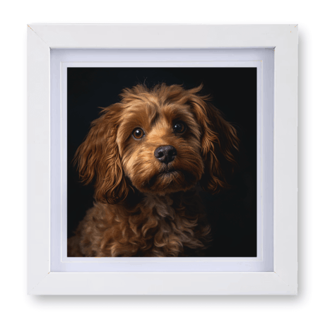 Cavapoo v3