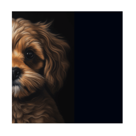 Cavoodle v2