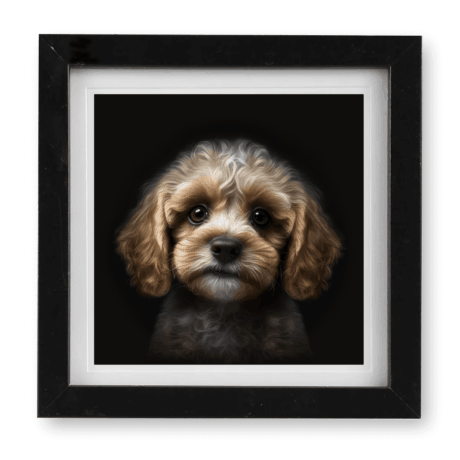 Cavoodle v4