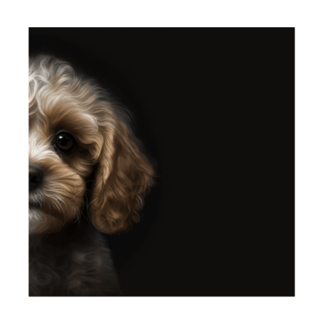 Cavoodle v4