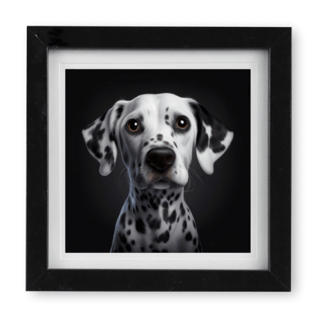 Dalmation v1
