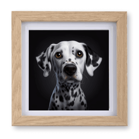 Dalmation v1