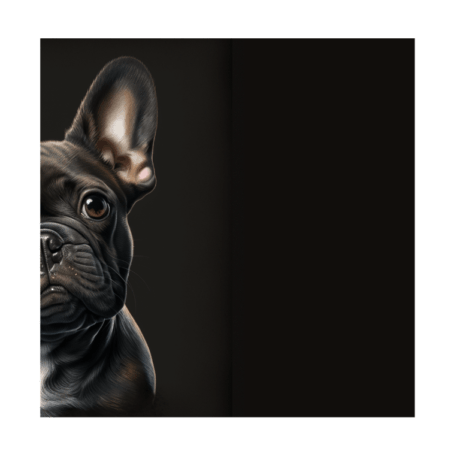 French Bulldog v2