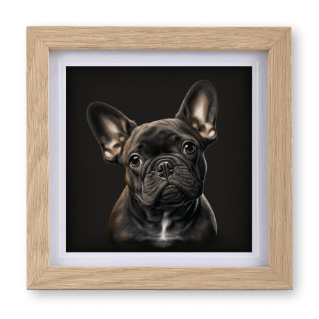 French Bulldog v2