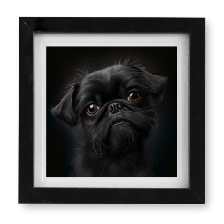Brussels Griffon v2