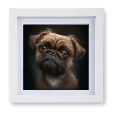Brussels Griffon v1
