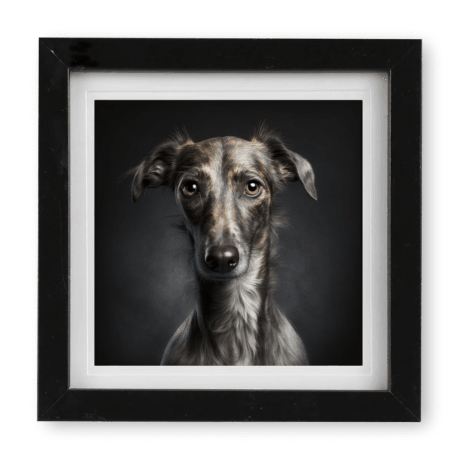 Lurcher v1