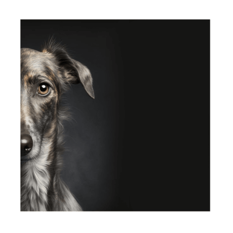 Lurcher v1