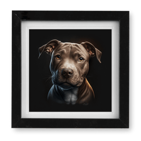 Pitbull v1