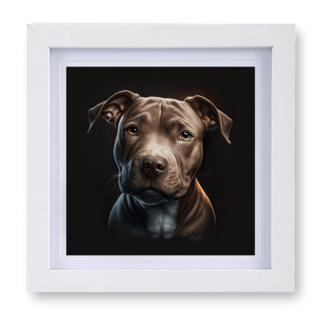 Pitbull v1