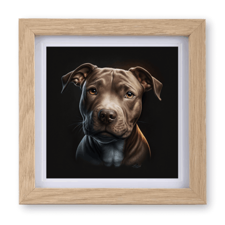 Pitbull v1