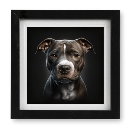 Pitbull v2