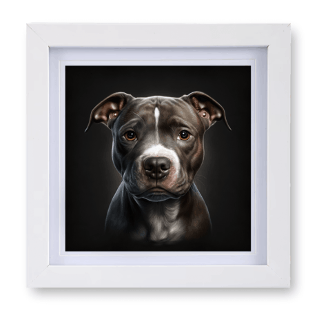 Pitbull v2