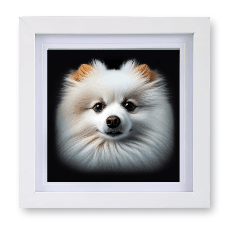 Japanese Spitz v1