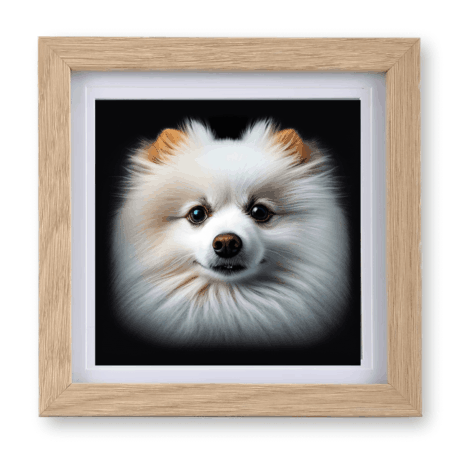Japanese Spitz v1