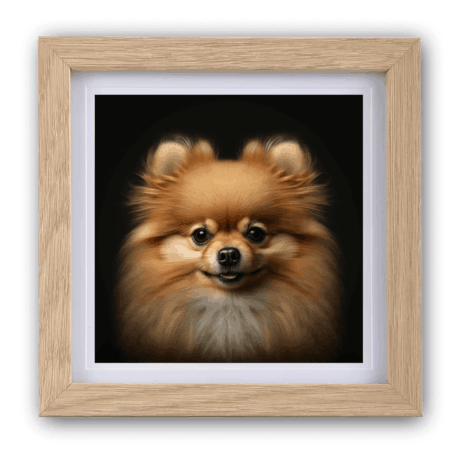 Pomeranian v1