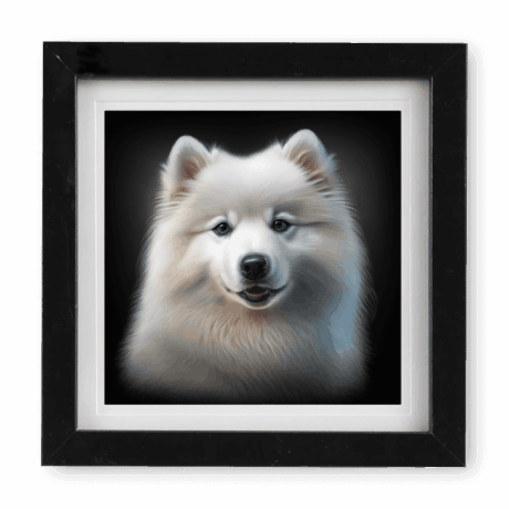 Samoyed v1