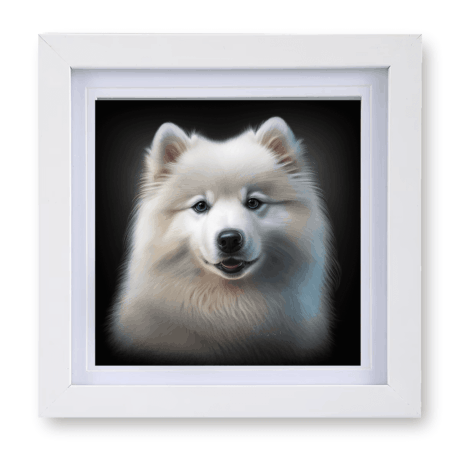 Samoyed v1