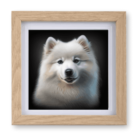 Samoyed v1