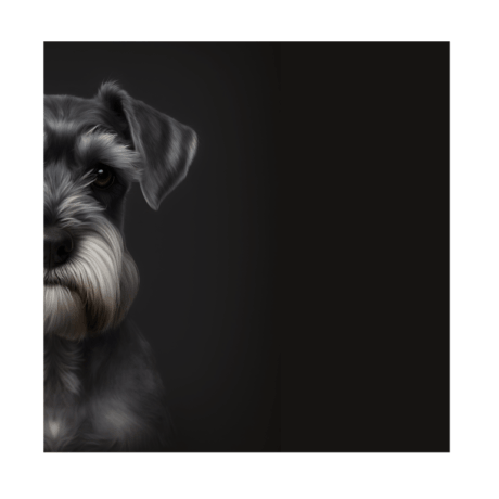 Schnauzer V1