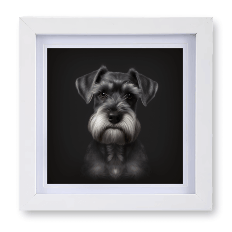 Schnauzer V1