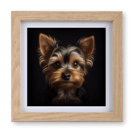 Yorkshire Terrier v2