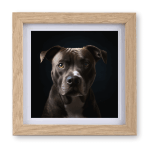 Pitbull v3