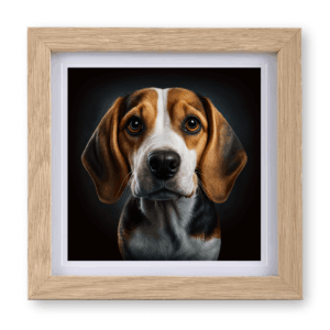 Beagle