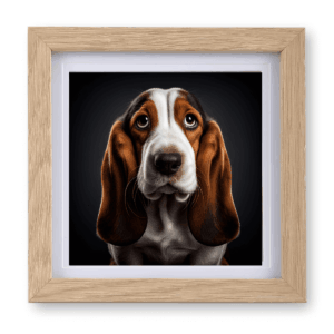 Basset Hound