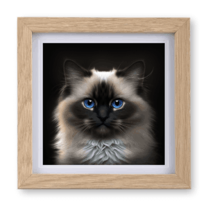 Birman v2