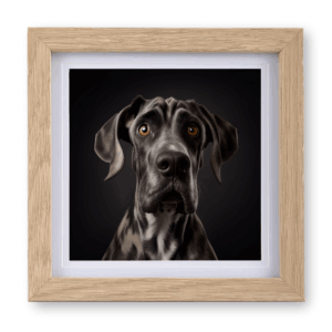 Great Dane