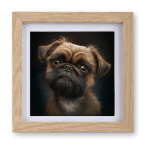 Brussels Griffon