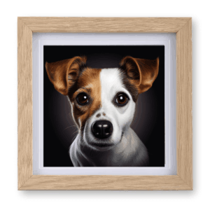 Jack Russell Terrier