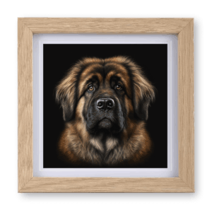 Leonberger